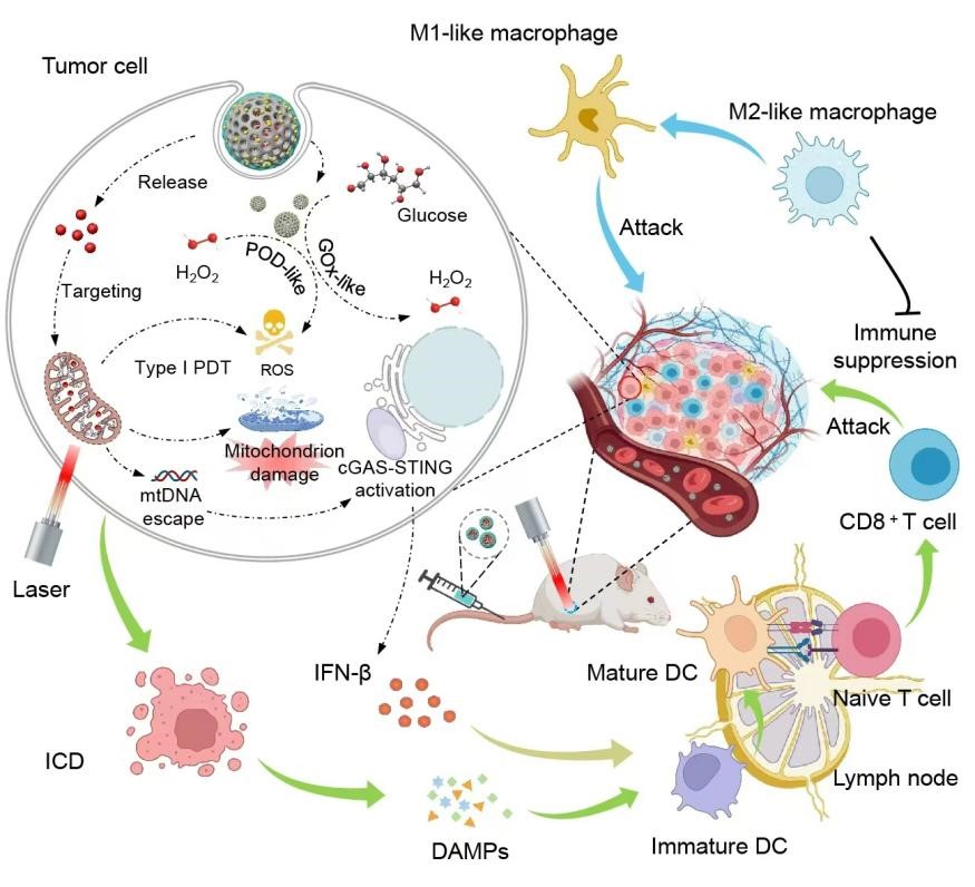 942eda4046a1d31af637a34c134267f